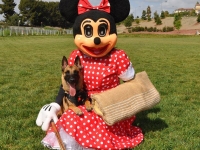 mousemouse
