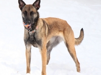 Onyx 12 months1