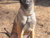 Onyx 14 months
