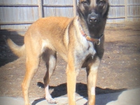 Onyx 14 months1
