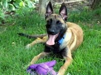 Onyx 6 months