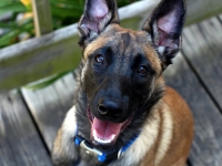 Onyx 6 months2