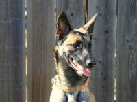 Onyx 9 months