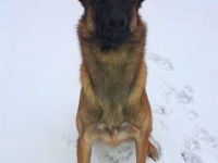 oso10mos
