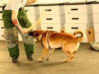 oso20140309-02