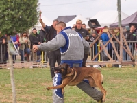 repocalloff