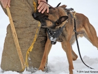 stark20140131-01