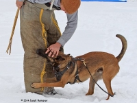 stark20140131-05