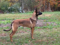 stark8.5mos