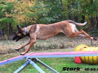 stark20131025-04