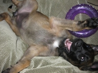 tilly20090905-2