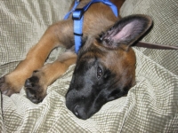 tilly20090905-3