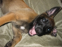 tilly20090905-4