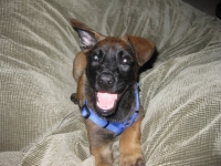 tilly20090905