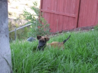 tilly20090906