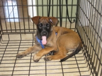 tilly20090909