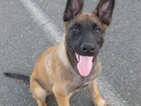 tilly20090921