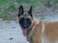 vodka20100427