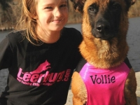 vollie20121103