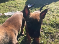 vv-20161122-5