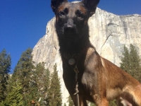 winston20121124-01