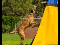 yoshi20130909-5