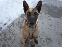 yoshi20131130
