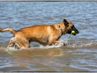 yoshi20140623-2