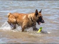 yoshi20140623