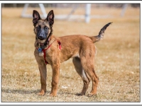 zoe20130225-01