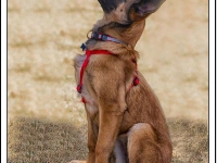 zoe20130225-03
